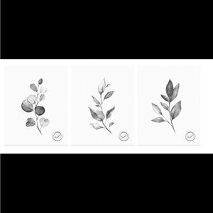 Set of Three Black and White Botanical Prints, 16x20